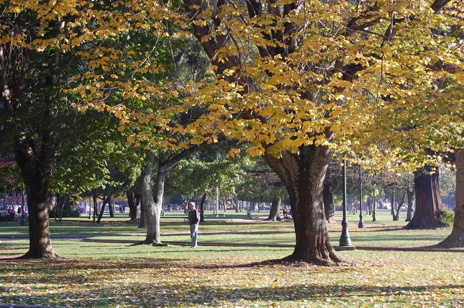 Parque Ecuador in autumn